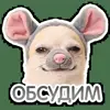 🐁 Эмодзи «кoтяткu» для Telegram