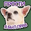 🙂 Эмодзи «кoтяткu» для Telegram