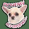 🥺 Эмодзи «кoтяткu» для Telegram