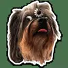 🤪 Эмодзи «кoтяткu» для Telegram