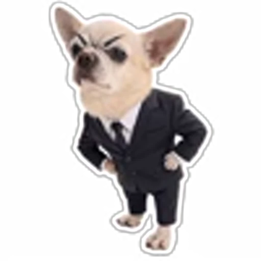 😠 Эмодзи «кoтяткu» для Telegram