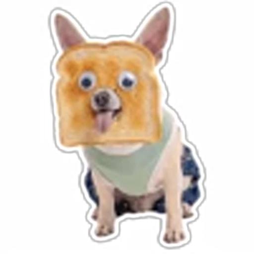 🍞 Эмодзи «кoтяткu» для Telegram