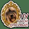 🪞 Эмодзи «кoтяткu» для Telegram
