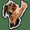 👍 Эмодзи «кoтяткu» для Telegram