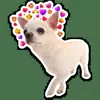 🥰 Эмодзи «кoтяткu» для Telegram