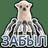 🎤 Эмодзи «кoтяткu» для Telegram