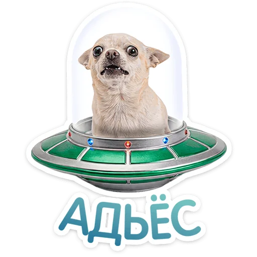 ⭐ Стикер «Пёсики» для Telegram