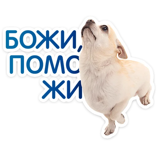 ⭐ Стикер «Пёсики» для Telegram