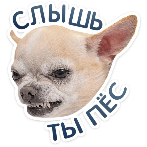 ⭐ Стикер «Пёсики» для Telegram