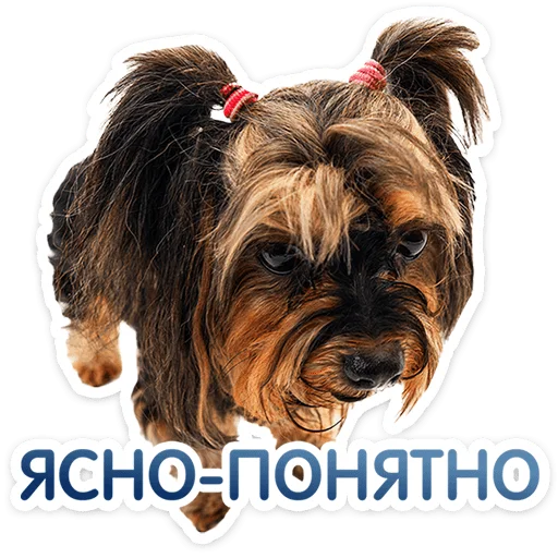 ⭐ Стикер «Пёсики» для Telegram