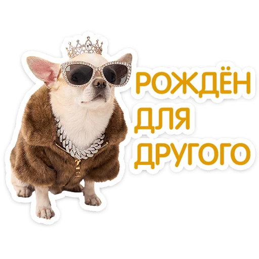 ⭐ Стикер «Пёсики» для Telegram