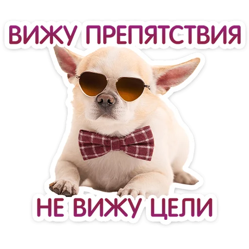 ⭐ Стикер «Пёсики» для Telegram