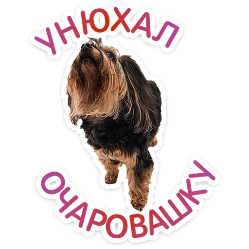 ⭐ Стикер «Пёсики» для Telegram