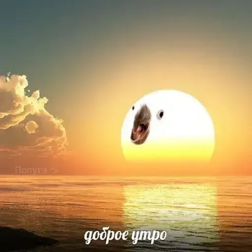 🌤 Стикер «PopugLife» для Telegram