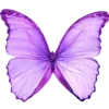 🤩 Эмодзи «Purple Decor From» для Telegram