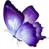 🤩 Эмодзи «Purple Decor From» для Telegram