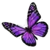 🤩 Эмодзи «Purple Decor From» для Telegram