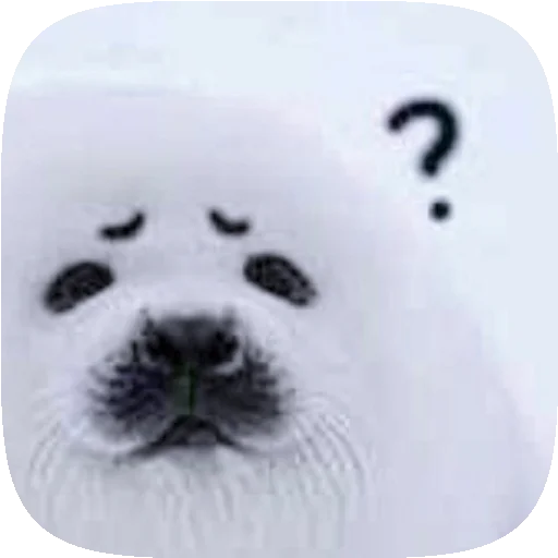 🦭 Стикер «Pusa Seal» для Telegram