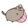 🍪 Эмодзи «Miss pusheen» для Telegram