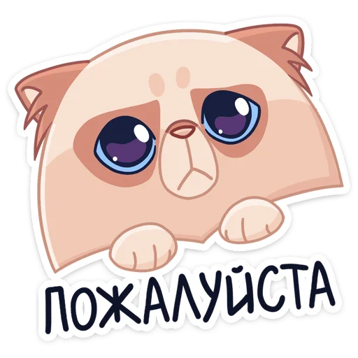 🥺 Стикер «-Нет, показываю» для Telegram