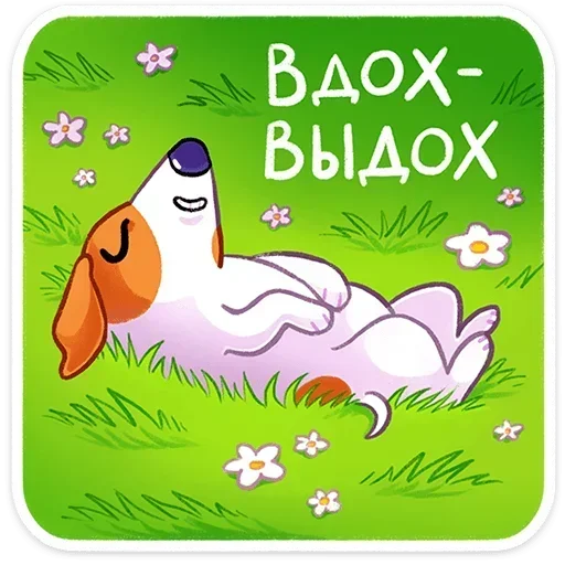 ☺️ Стикер «Песик Берт» для Telegram