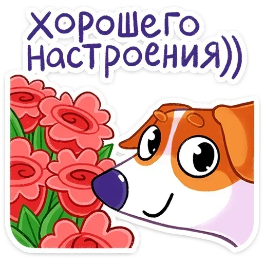 💐 Стикер «Песик Берт» для Telegram