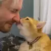 😽 Эмодзи «Пирокинезис И Ра» для Telegram