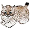 🥸 Эмодзи «qamzii» для Telegram