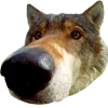 🐺 Эмодзи «qamzii» для Telegram