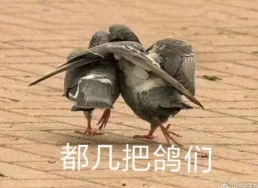 😂 Стикер «球速 秋刀鱼» для Telegram
