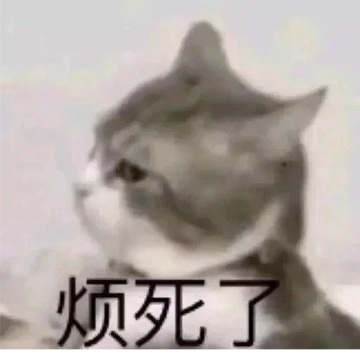😂 Стикер «球速 秋刀鱼» для Telegram