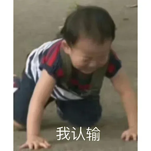 😄 Стикер «球速 秋刀鱼» для Telegram