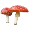 🍄 Эмодзи «Dvudushnik» для Telegram