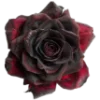🌹 Эмодзи «Dvudushnik» для Telegram