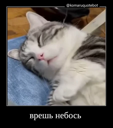 🌟 Стикер «лифамистр» для Telegram
