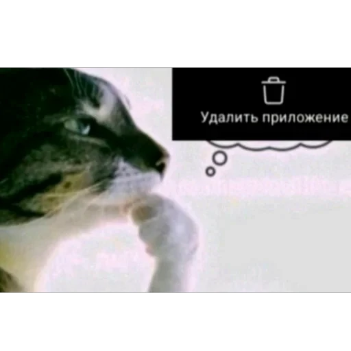 Стикерпак delete this app для Telegram — скачать