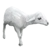 🐑 Эмодзи «ㅤ᭢꤬ ᜴» для Telegram