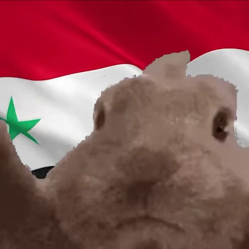 🇸🇾 Стикер «Заяц с флагами» для Telegram