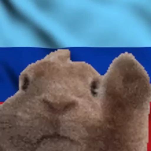 🇷🇺 Стикер «Заяц с флагами» для Telegram