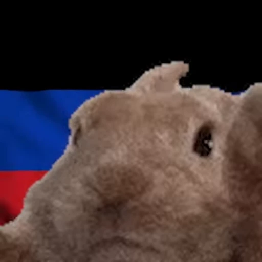 🇷🇺 Стикер «Заяц с флагами» для Telegram