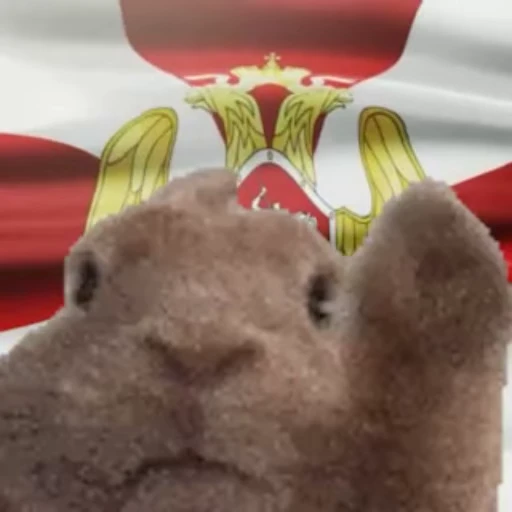 👮‍♂️ Стикер «Заяц с флагами» для Telegram