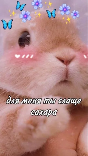 Стикерпак RABBITS для Telegram — скачать
