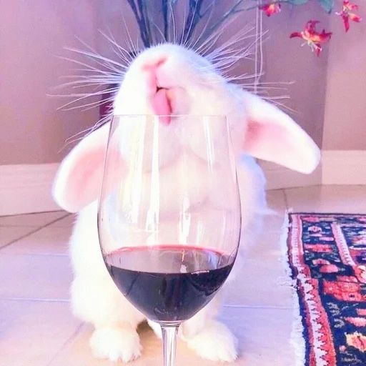 🐰 Стикер «᭝݊sOft rabbit ⵓ ⿴༘͜᭼̣ꪆ» для Telegram
