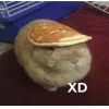 🤩 Эмодзи «🤩кроликсы» для Telegram