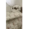 🤩 Эмодзи «🤩кроликсы» для Telegram