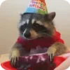 🌟 Эмодзи «Raccoon» для Telegram