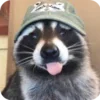 🌟 Эмодзи «Raccoon» для Telegram
