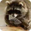 🌟 Эмодзи «Raccoon» для Telegram