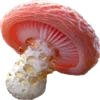 🍄 Эмодзи «Vibes» для Telegram