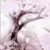 🤩 Эмодзи «Random #random» для Telegram